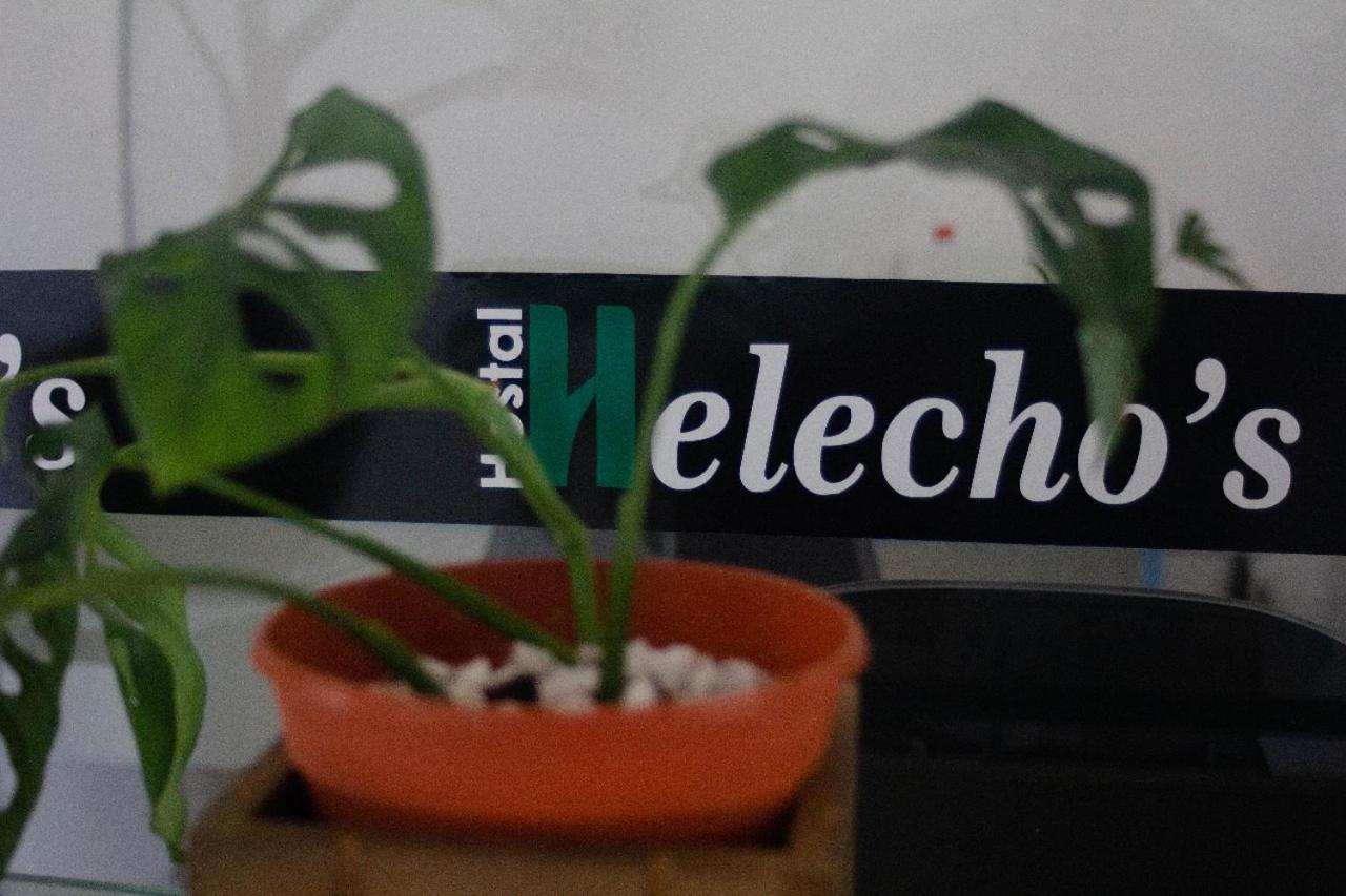 Helecho'S Hostal Hostel Encarnación Buitenkant foto